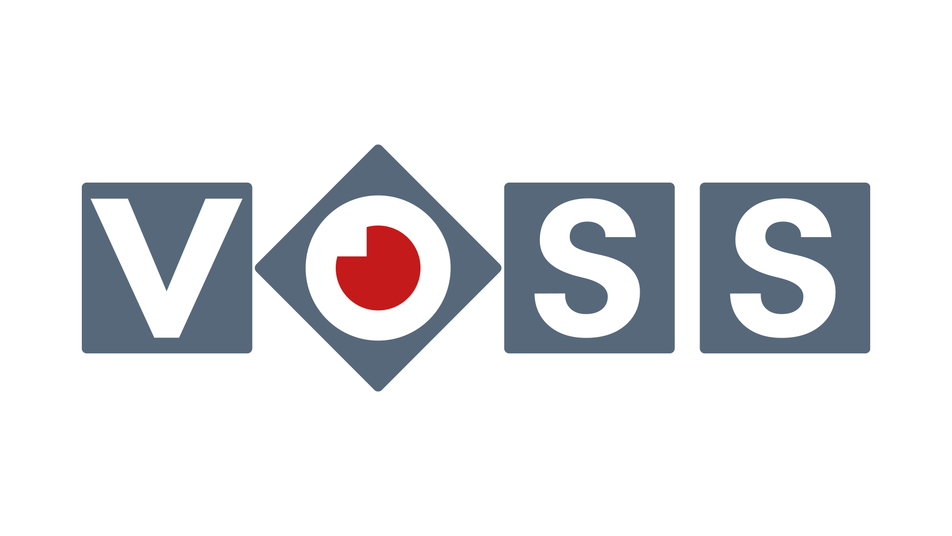 Elektro- und Sicherheitstechnik Voss GmbH & Co. KG  Logo