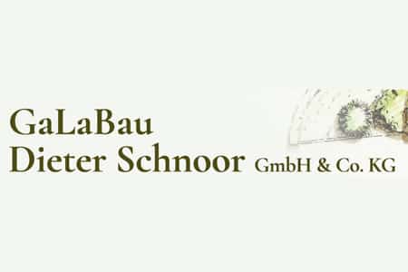 Dieter Schnoor GmbH & Co. KG Logo